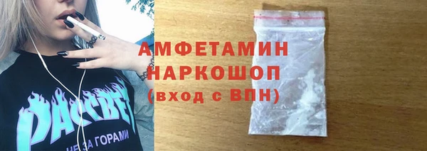 гидра Тайга
